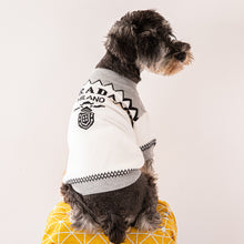Load image into Gallery viewer, Pawda sweater
