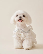 Load image into Gallery viewer, Blessing Silk dress
