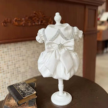 Load image into Gallery viewer, White Fancy dress
