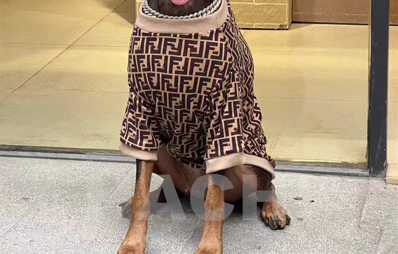 Big Dog FF sweater – Haileys Doggy Boutique