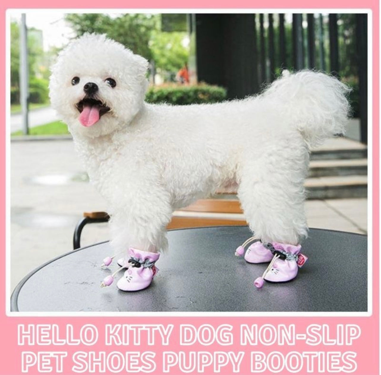 Bichon fashion shoes